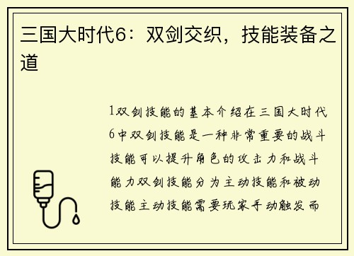 三国大时代6：双剑交织，技能装备之道